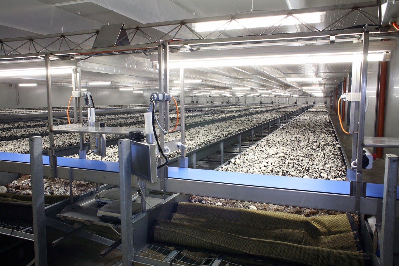 z2528359731087_e69b59dcc8e883ea23763fc8854db439